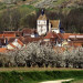 Jussy - Bourgogne - &copy; AM Stock Nature