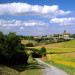 Saint-F&eacute;lix Lauragais - Haute-Garonne - &copy; AM Stock Nature
