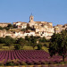 Village de Puimoisson et champ de lavande - &copy; AM Stock Nature