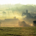 Marcy - Bourgogne - &copy; AM Stock Nature