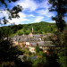 Villecomtal - Aveyron - &copy; AM Stock Nature