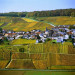 Monthelon - Marne - &copy; AM Stock Nature