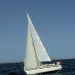 Voile Camargue - &copy; Jean-Pierre Stajano