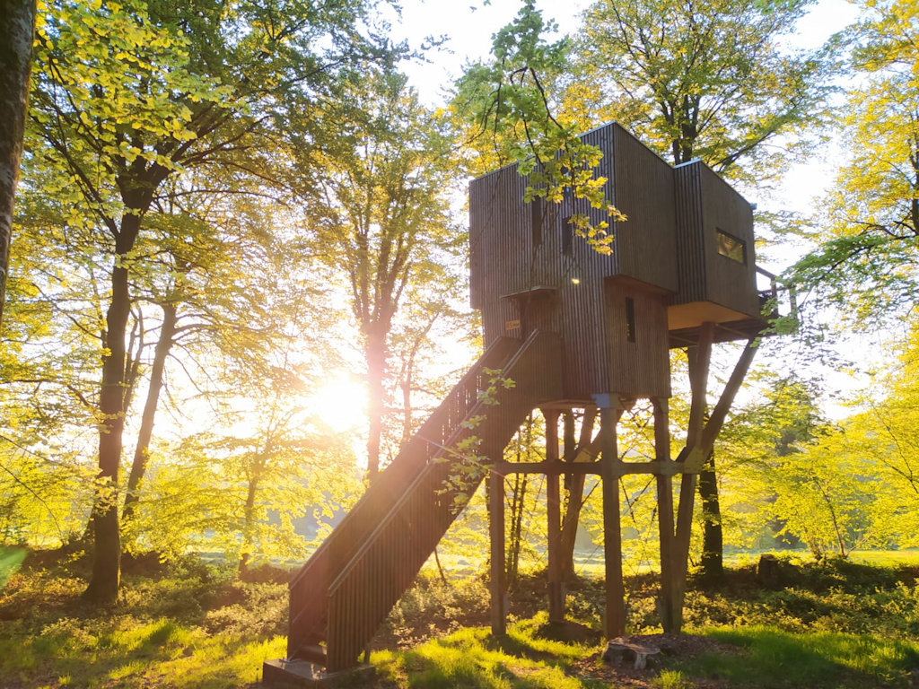 Cabane Dans Les Arbres Saint Sever Calvados Cabanes dans les arbres, Étape en Forêt, cabane dans les arbres Noues de  Sienne, Basse Normandie, forêt domaniale de Saint Sever