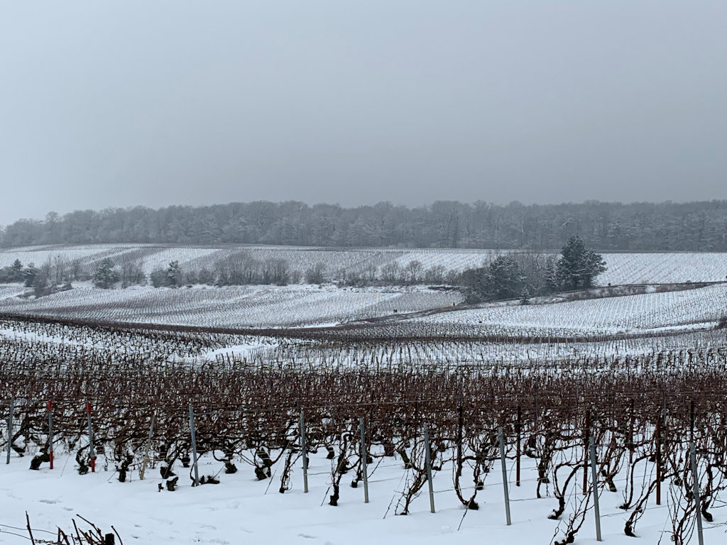 La Terrasse Des Vignes House In Ecueil In La Marne 51