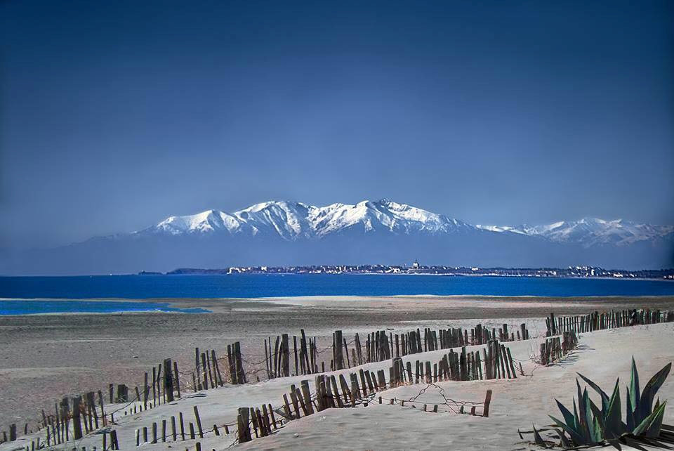 Maison mer montagne proche Collioure, maison Sorède, côté mer et montagne  (les Albères)