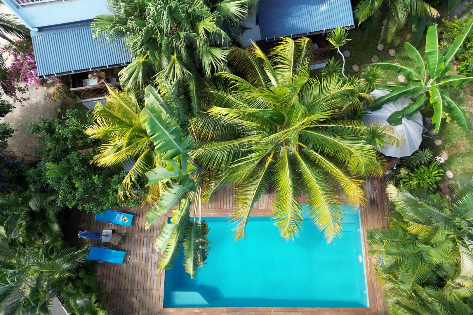 Studio Le Paille en Queue aux Nids d'Elo vue mer, piscine au sel