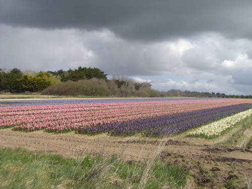 Gîte De Kerdu Pointe De La Torche Gite Plomeur Pointe